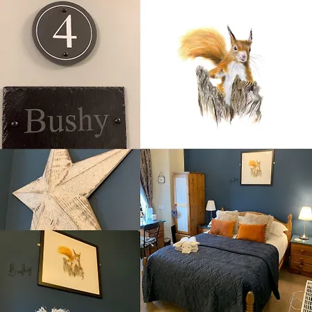 Hillsdale In Ambleside