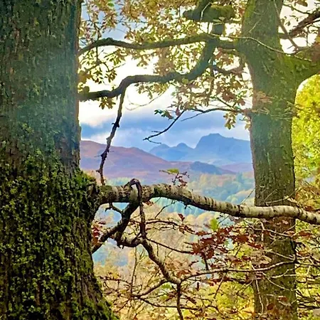 Hillsdale In Gæstehus Ambleside
